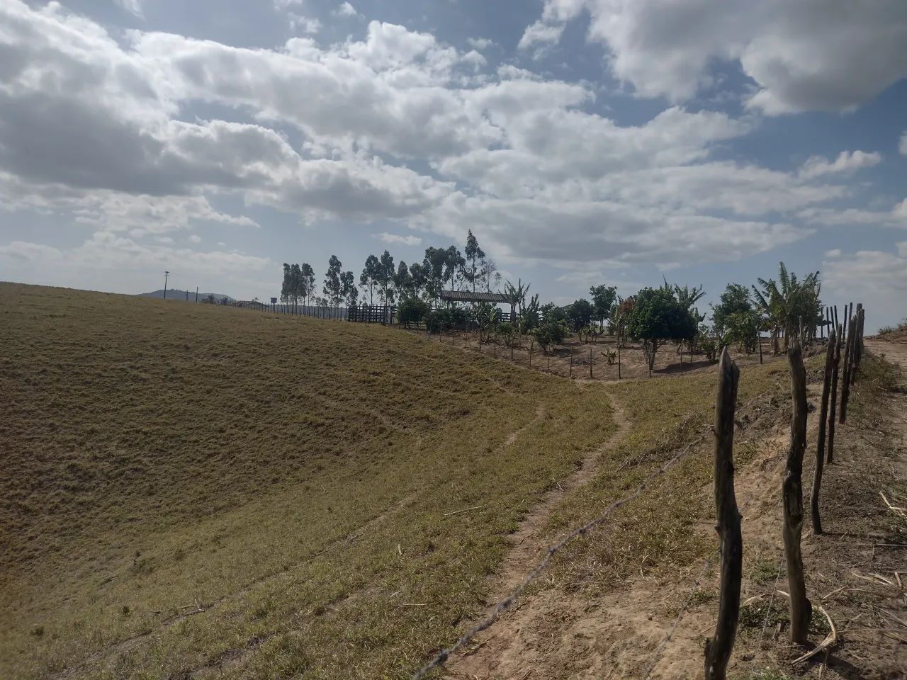 propriedade capela 22 tares, 350 mil - Foto 5