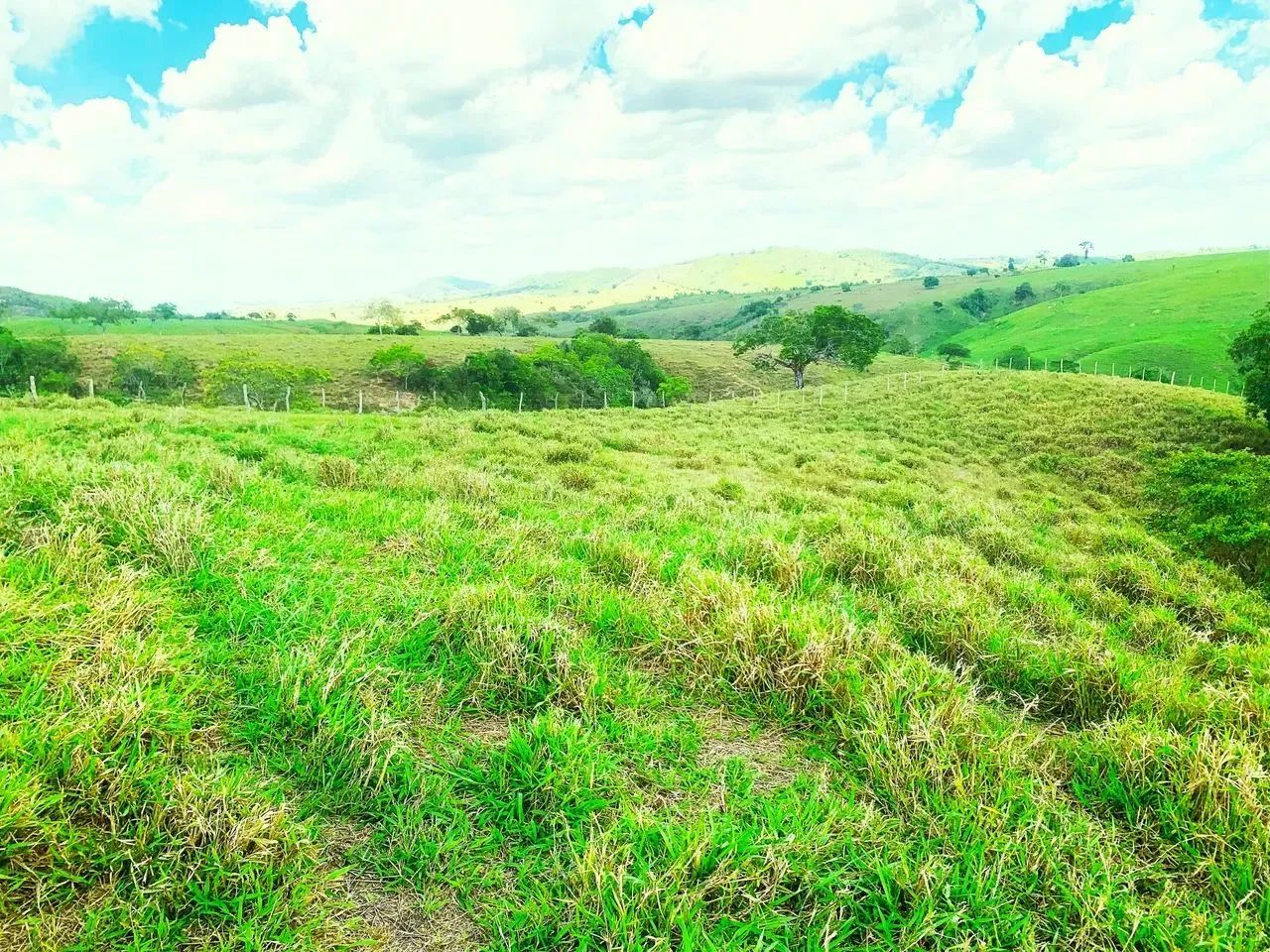 Fazenda de 194 tarefas - Foto 6