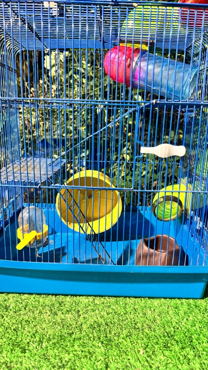 Gaiola Para Hamster/Rato 64684119243650121