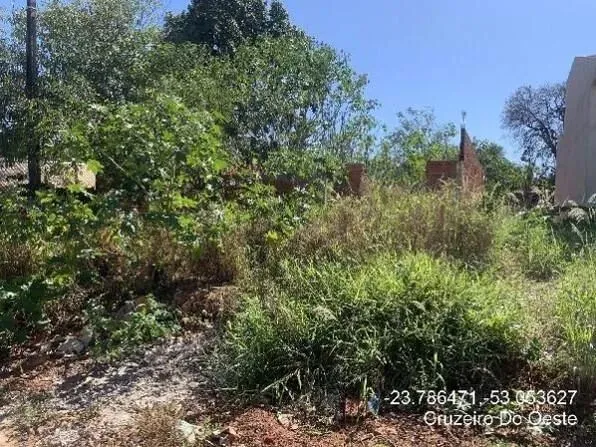 Leilão - CRUZEIRO DO OESTE/PR - TERRENO