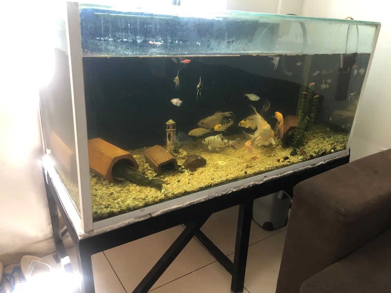 Aquário de 576 litros completo 