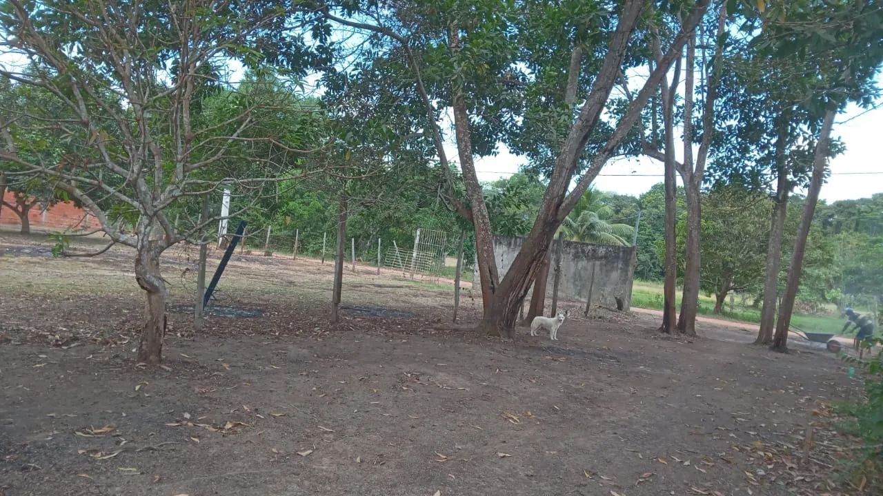 Foto - Macapá - Goiabal