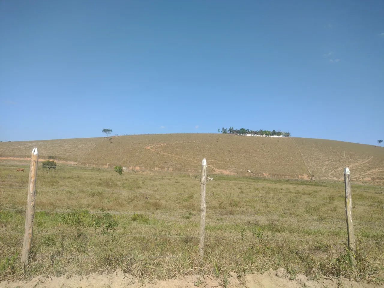 propriedade capela 22 tares, 350 mil - Foto 4