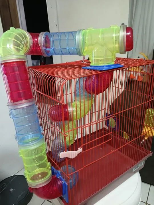 Gaiola para Roedor ? - Foto 2