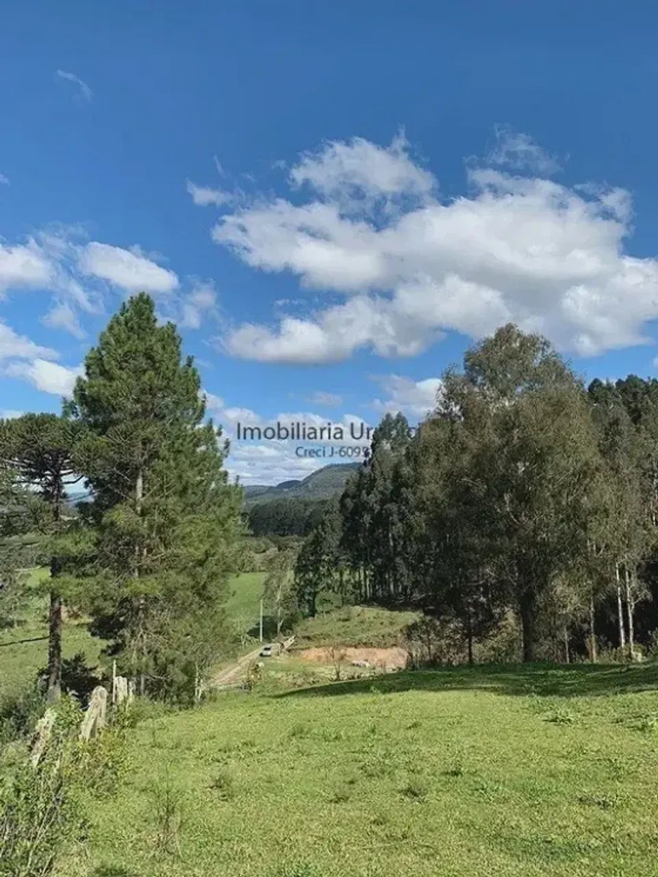 ÁREA RURAL À VENDA - Foto 4