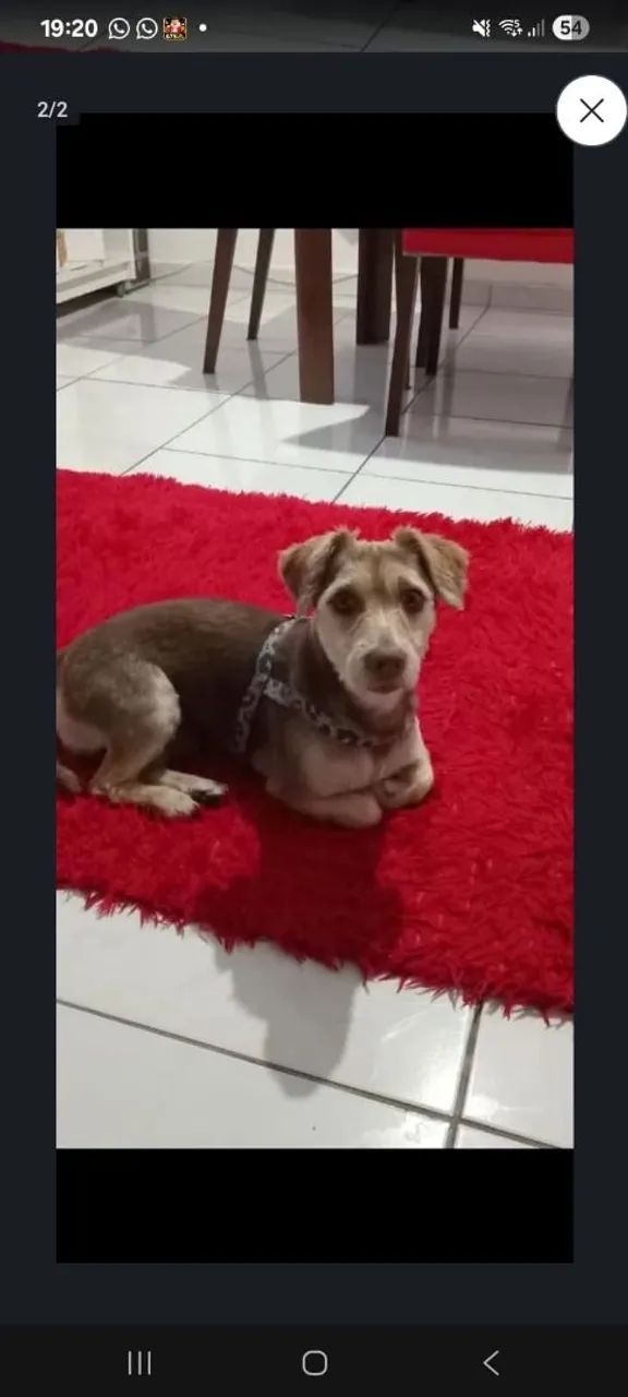 Para doação!!