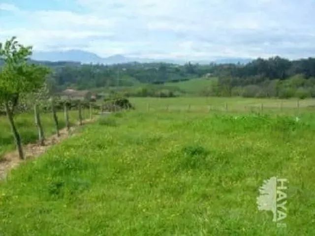 O Terreno Perfeito Para Tirar Seus Planos do Papel em São Roque!!Dentro daRota do Vinho! - Foto 8