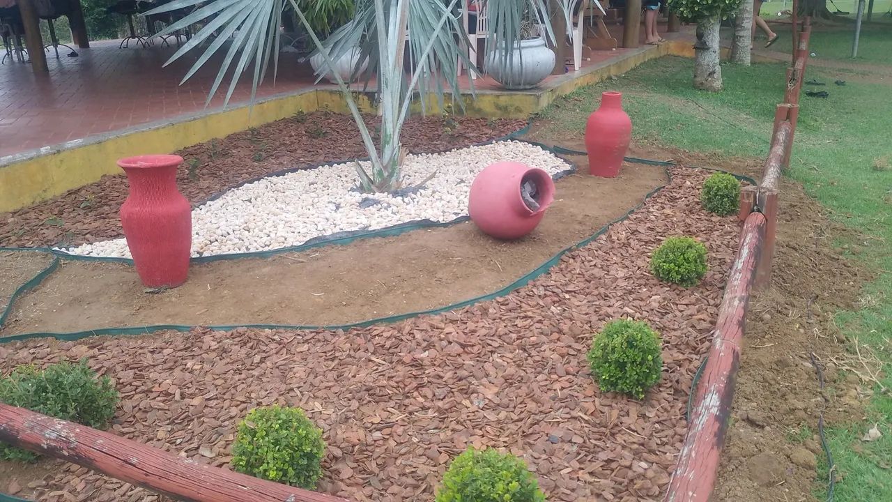 Jardinagem e paisagismo  - Foto 4