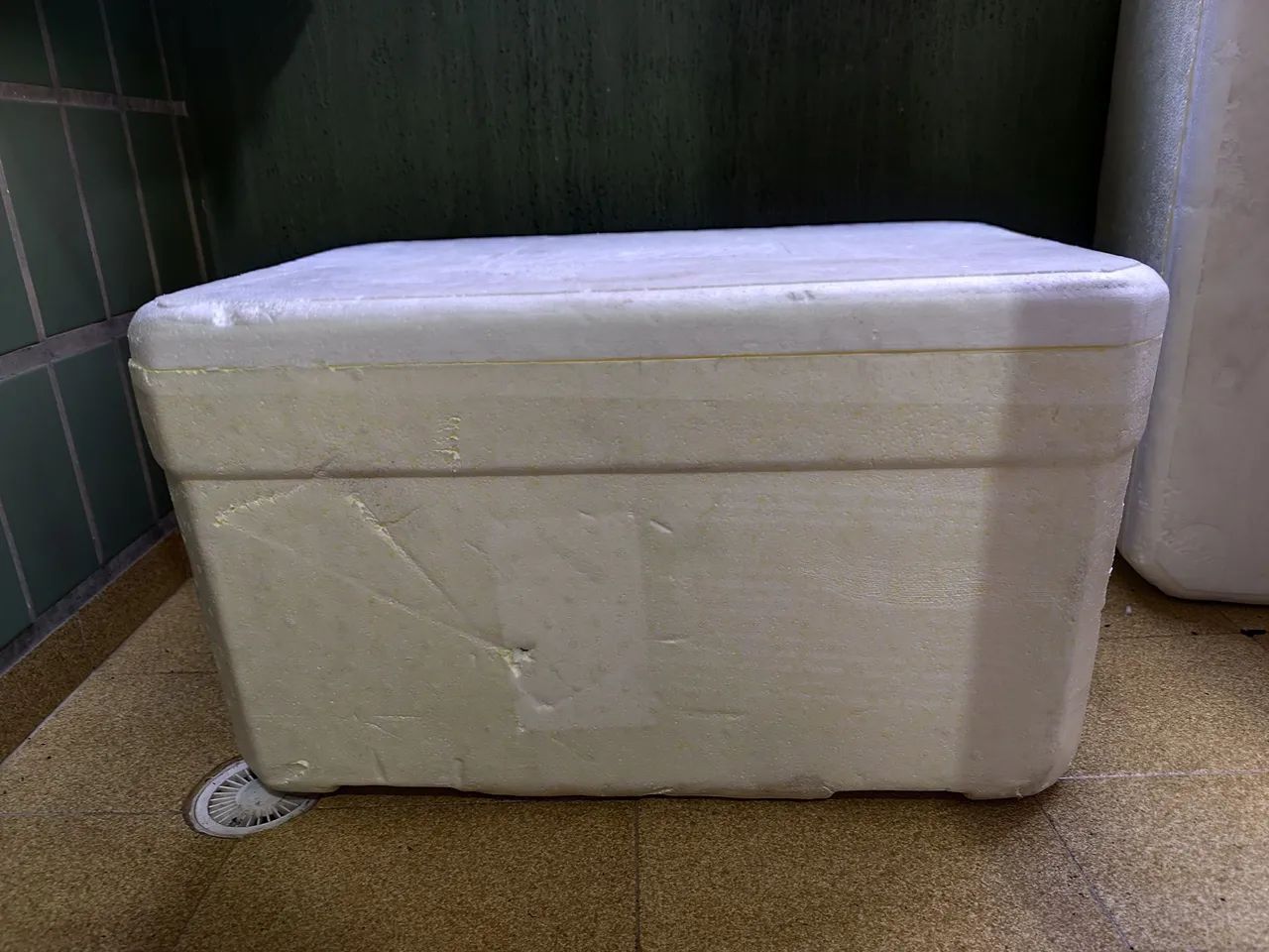 Isopor de 60 litros - Foto 4