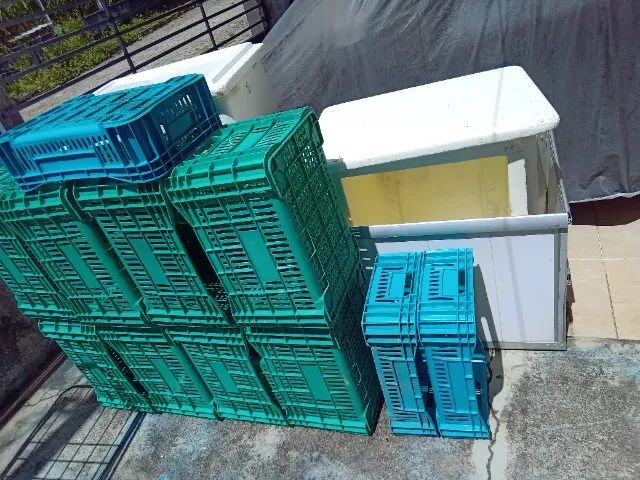 Caixa de Isopor e Plásticas - Foto 3