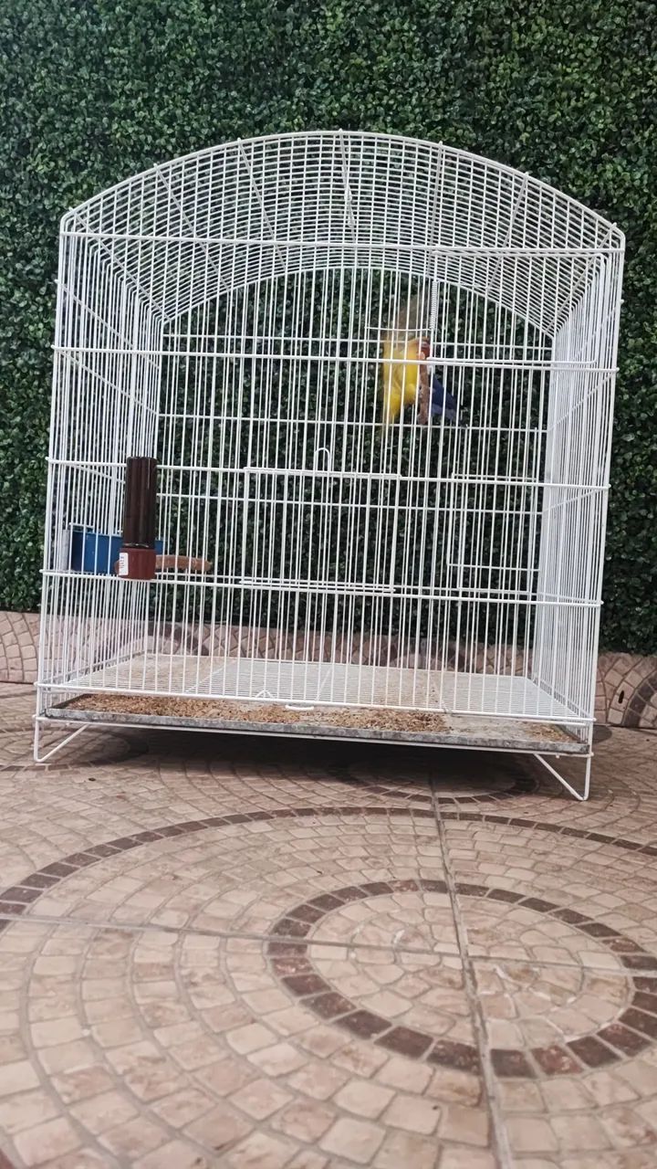 Gaiola Grande Pouco Uso