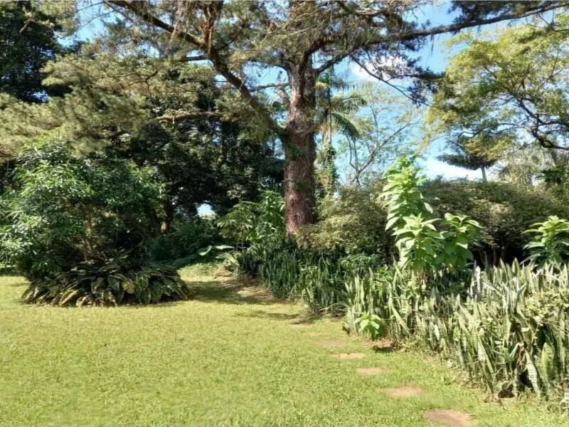 Casa ASCURRA - SC - Foto 4