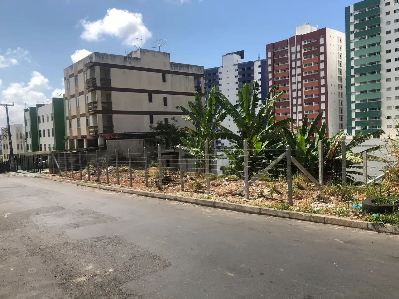 Terreno - Luiz Anselmo - Foto 2