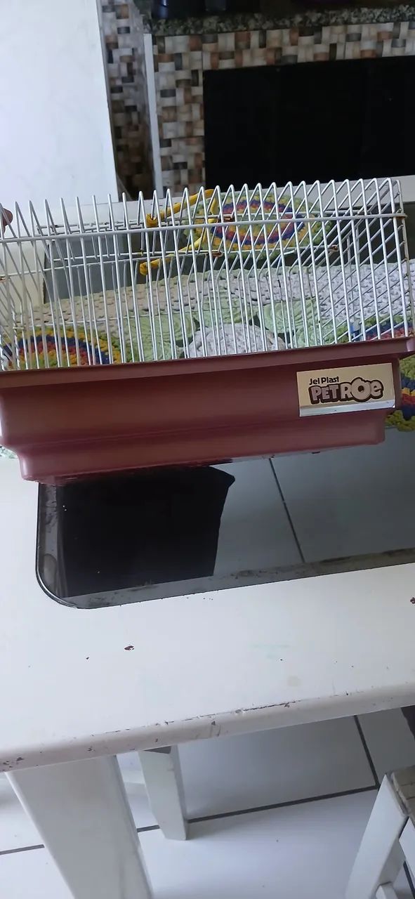 Vende-se uma gaiola de hamster  - Foto 2