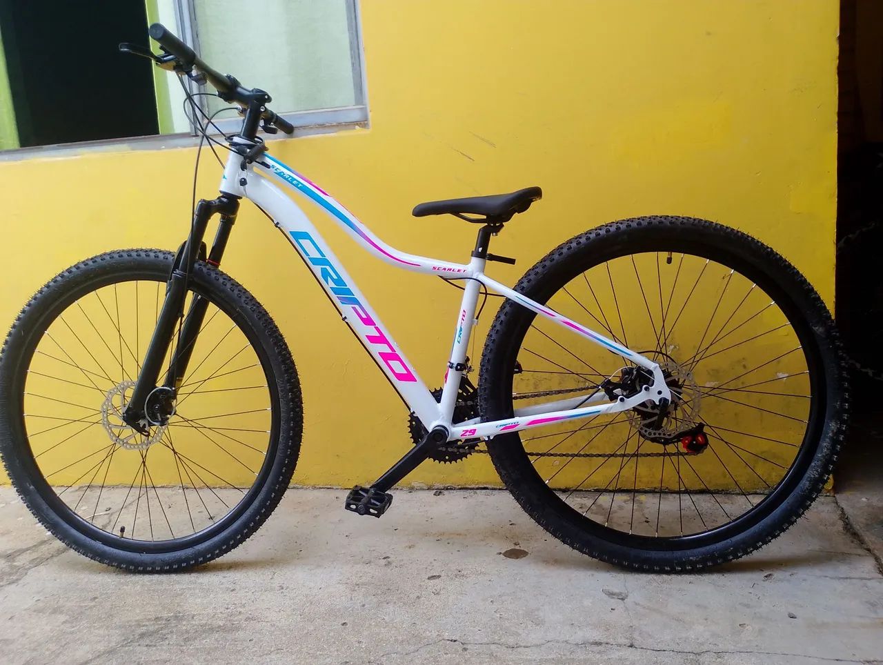 Cripto aro 29