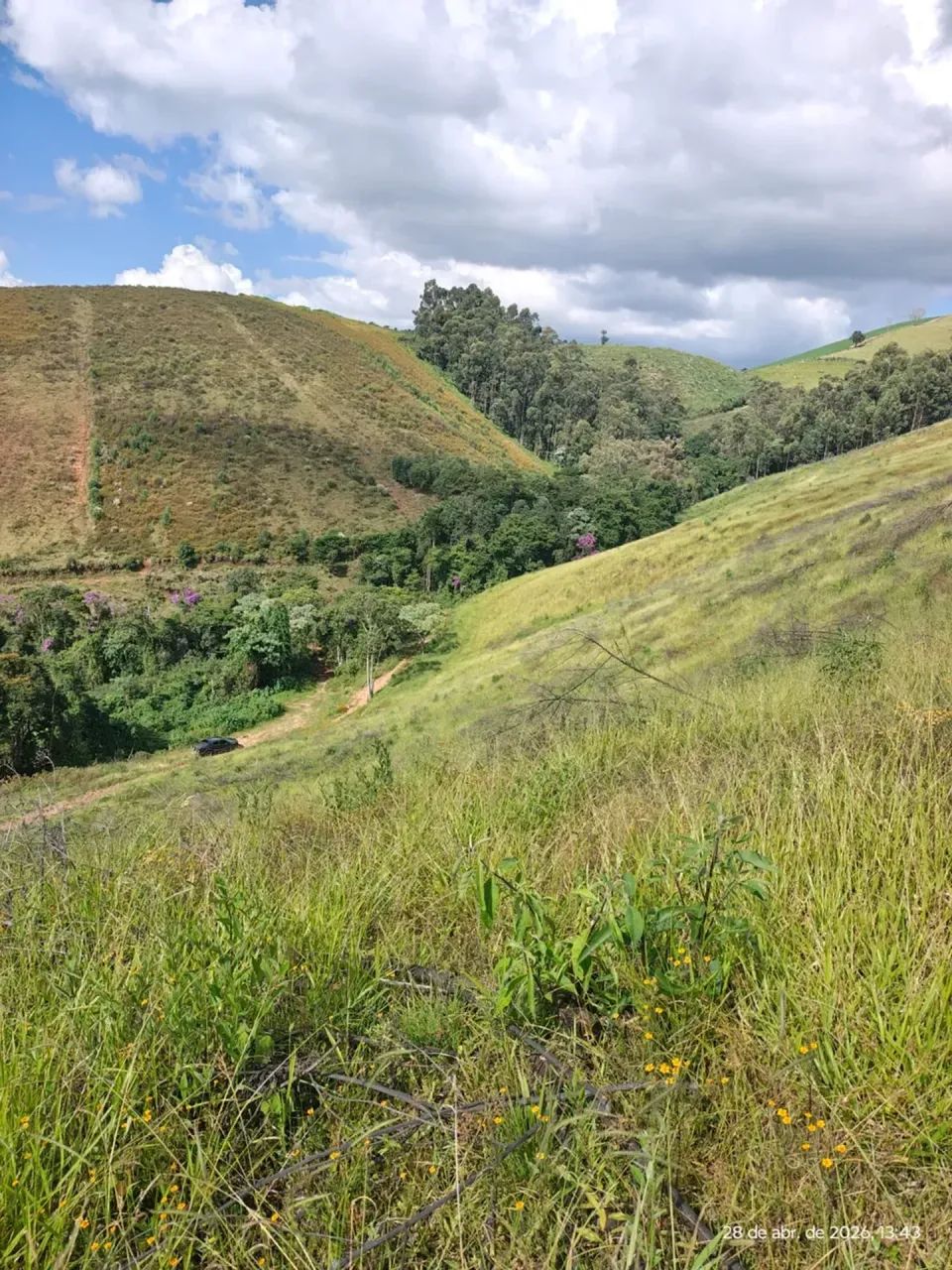 Terreno com 20 hectares em Maria da Fé MG - Foto 4