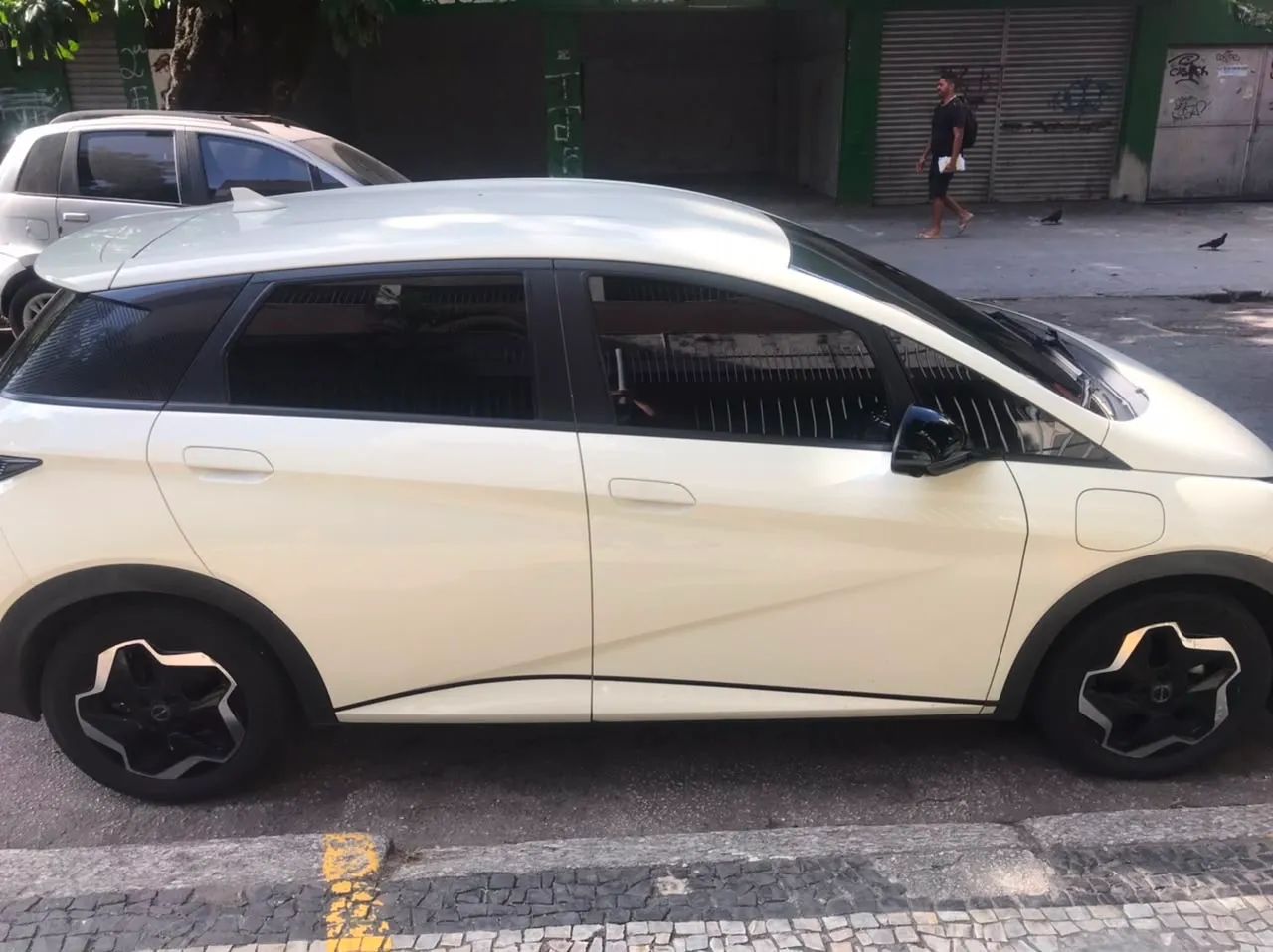 BYD Dolphin EV (Elétrico) 2024 - Foto 2