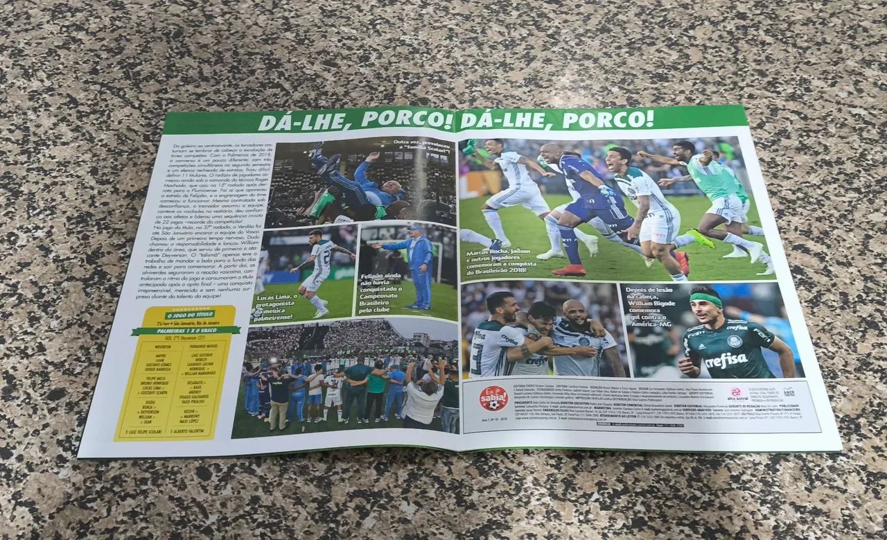 Poster Palmeiras Brasileirão 2018 - Foto 2