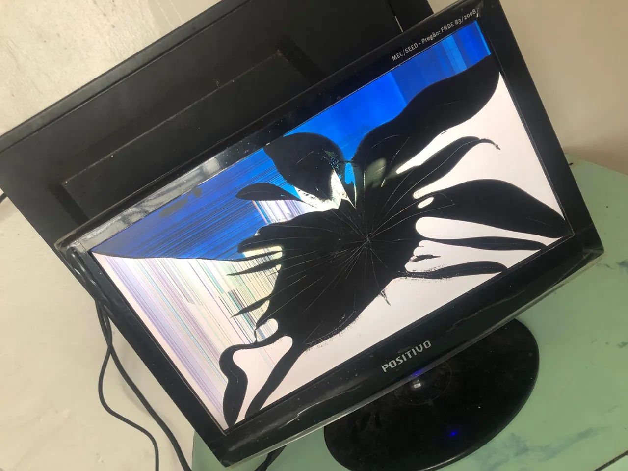 Monitor Samsung Defeito so na tela