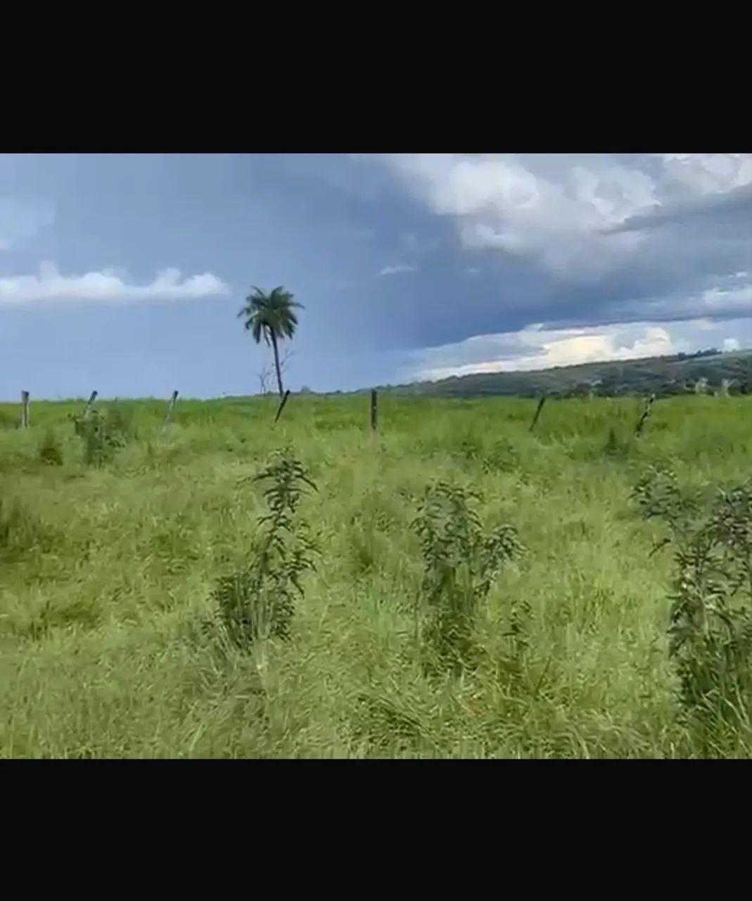 Fazenda dupla aptidão Gomendador gomes  - Foto 2