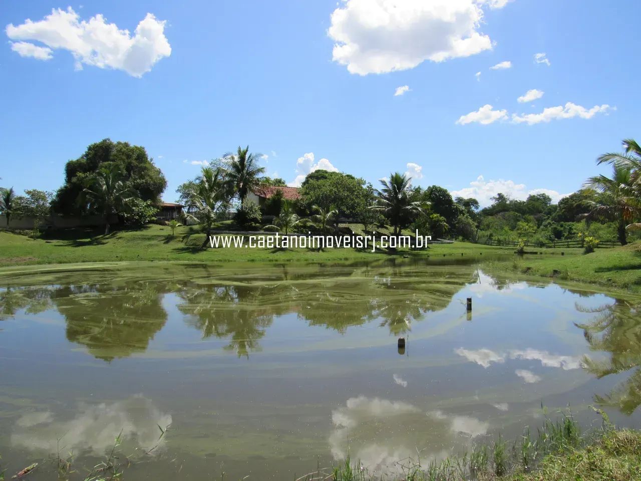 Sítio de 11.000m2 Todo Murado - Oportunidade