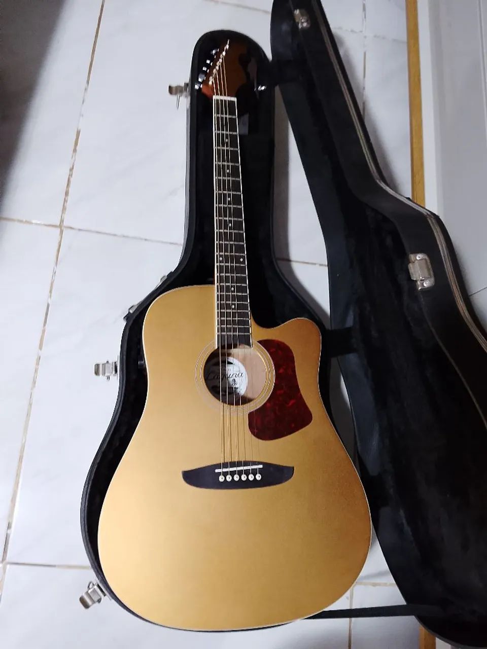 Violão Michael Laguna VMl530 + Caser.
