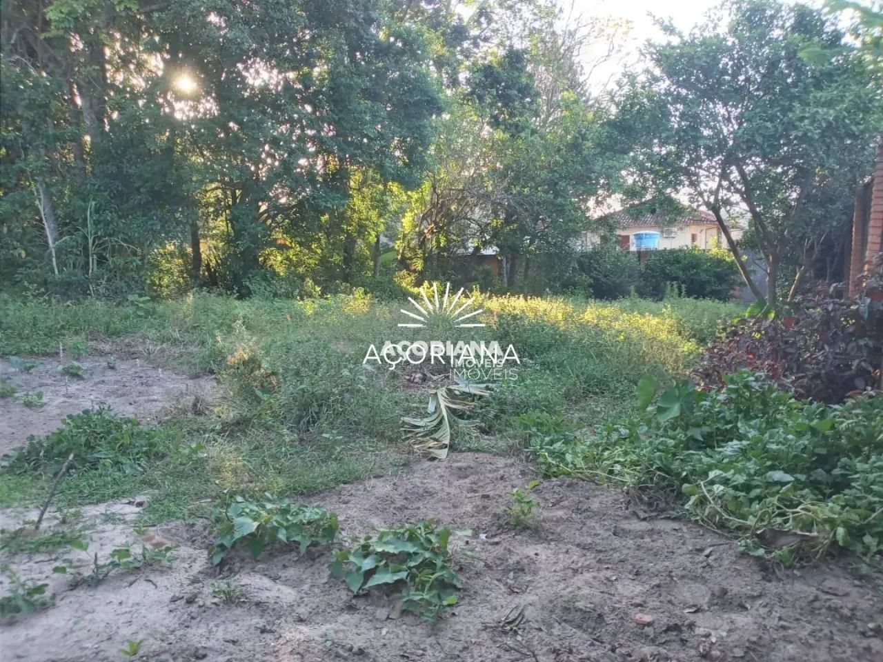 Oportunidade no Rio Tavares - Terreno a Venda