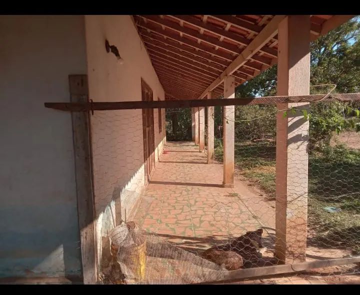 Vendo sítio na cidade de Tatuí SP excelente localização ideal para criação de gado  - Foto 4