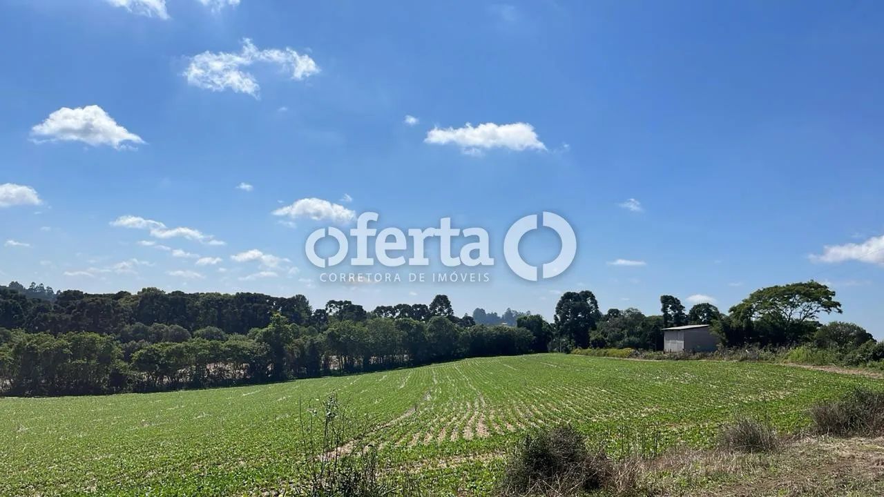 Propriedade Rural em Rio Negro/PR - Foto 5