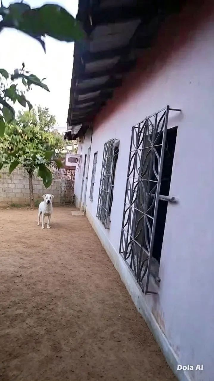 Excelente imóvel não centro  - Foto 5