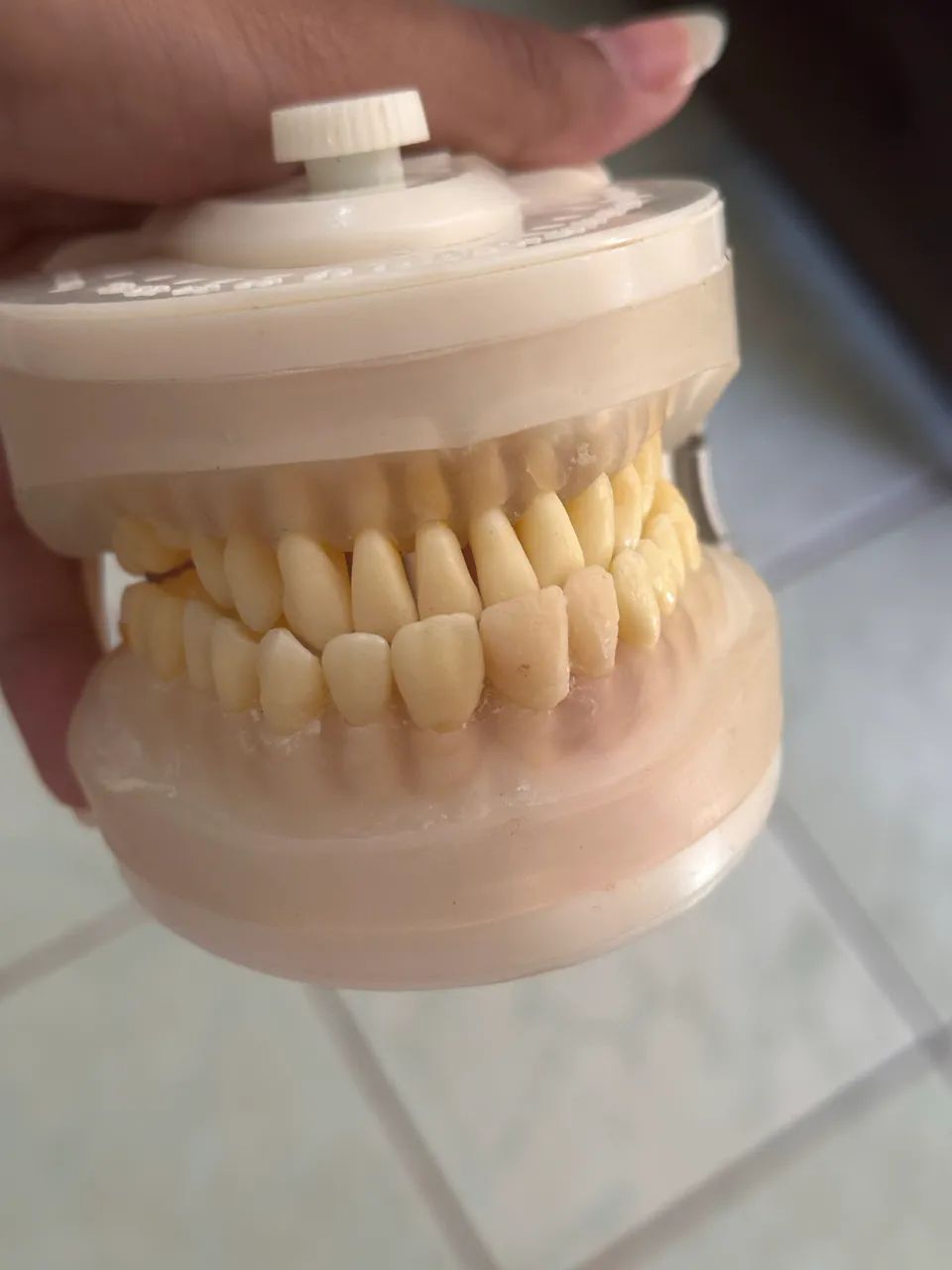 Manequim odontologico - Foto 4