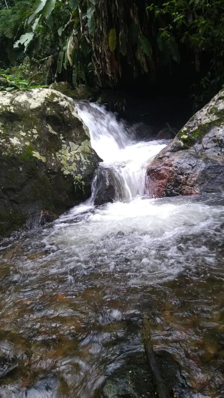 Terreno / sítio / Chácara  - Foto 2