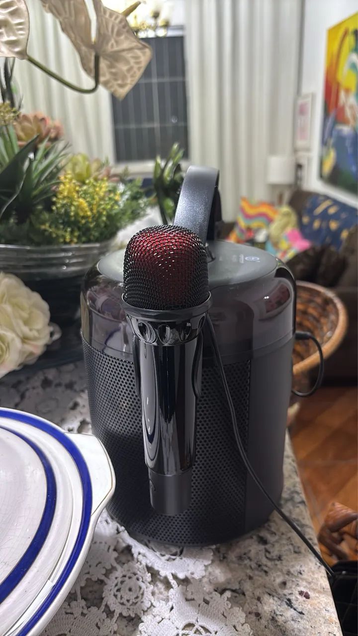 Karaokê 2microfone