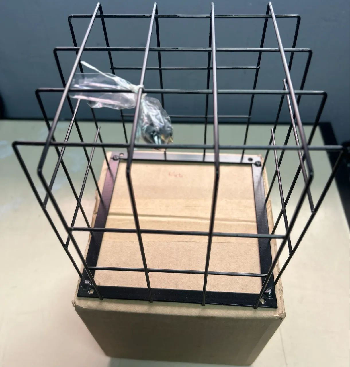 Gaiola Câmera de Segurança 