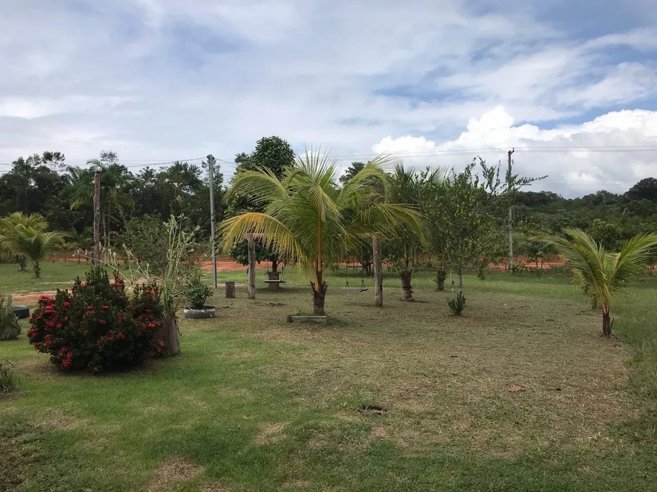 Terreno / sitio  - Foto 3