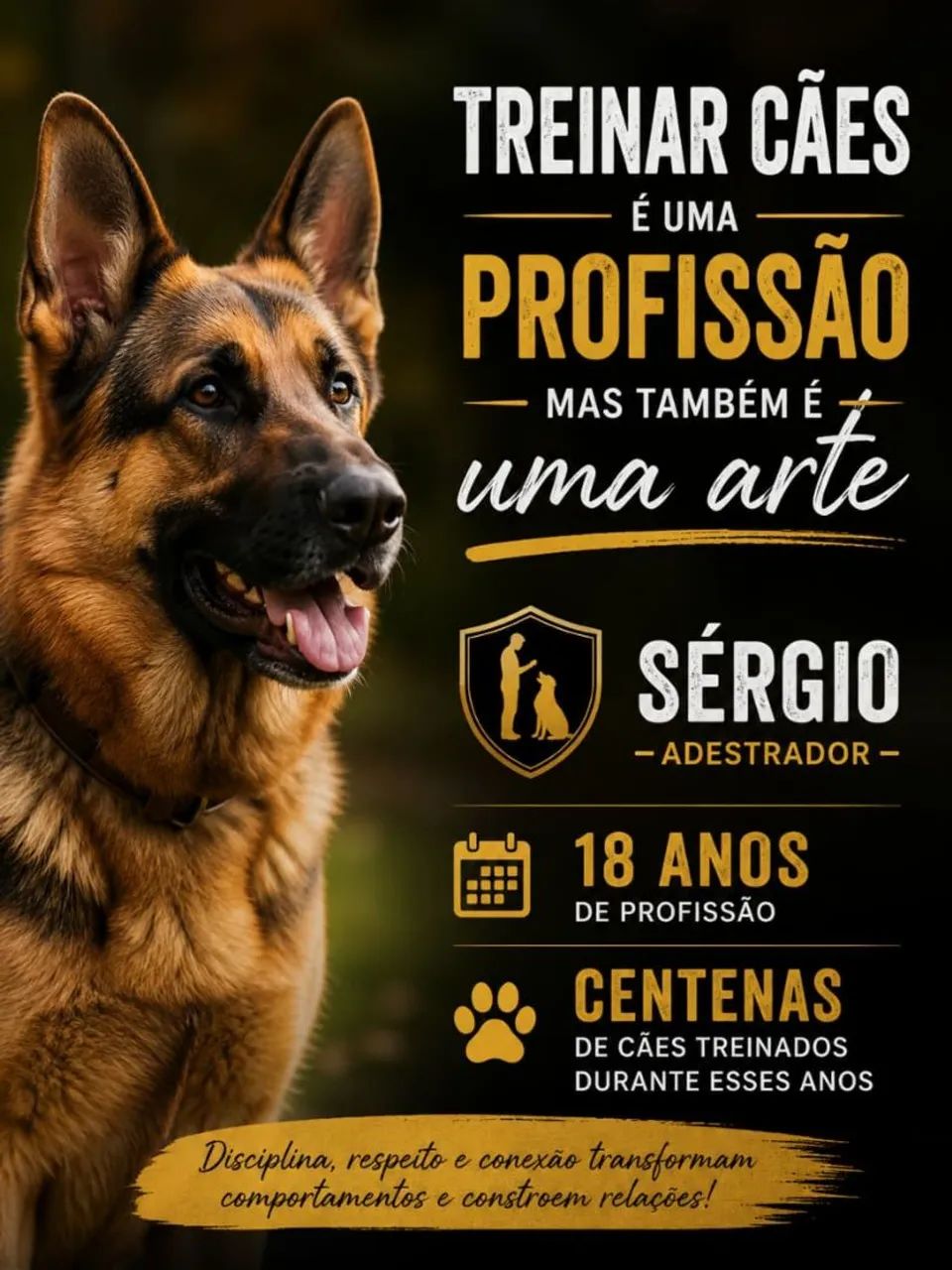 Adestramento de cães  - Foto 5