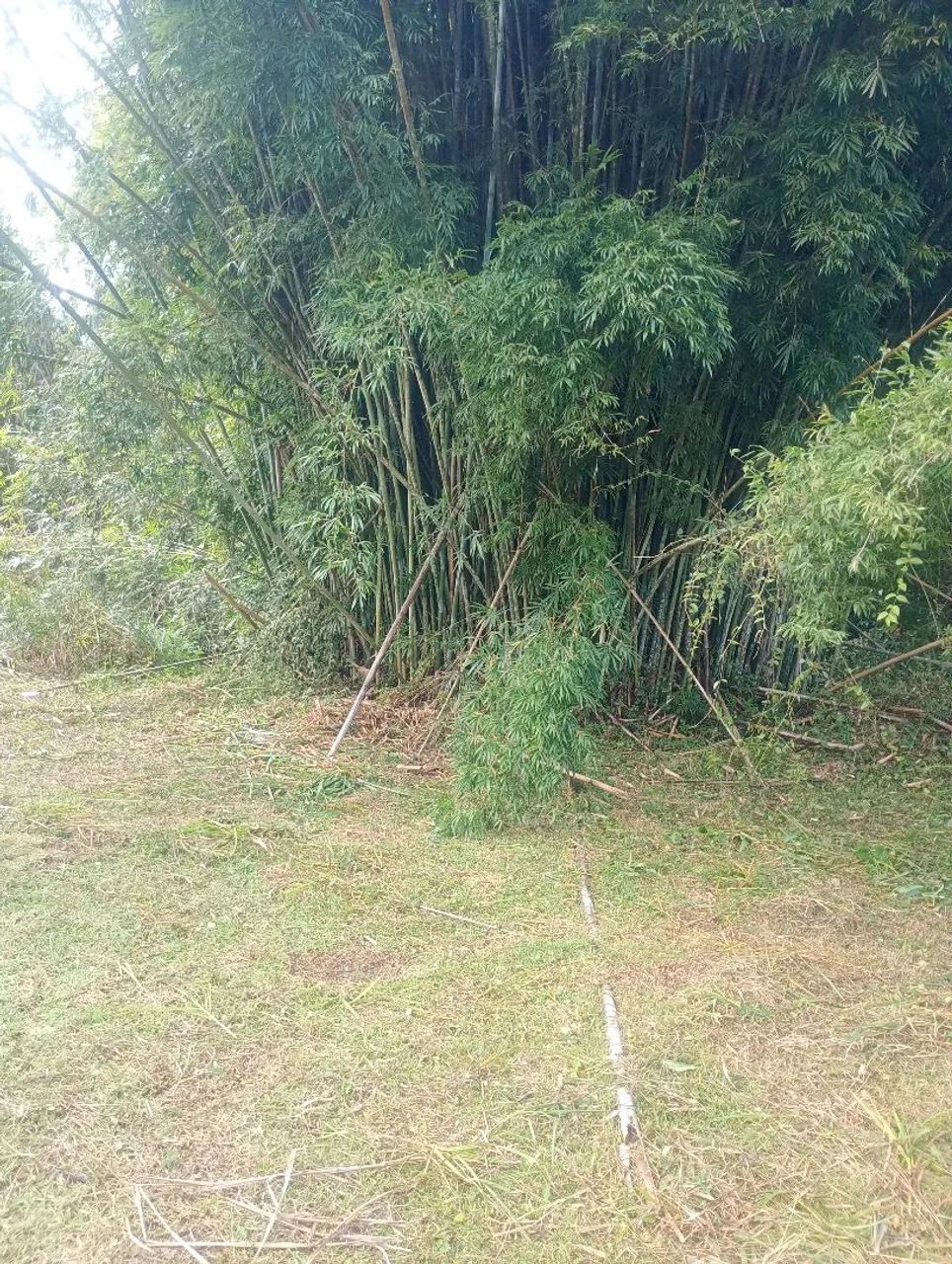 Área com 5000m2 e lago com Aprox. 800m2 sem casa  - Foto 2