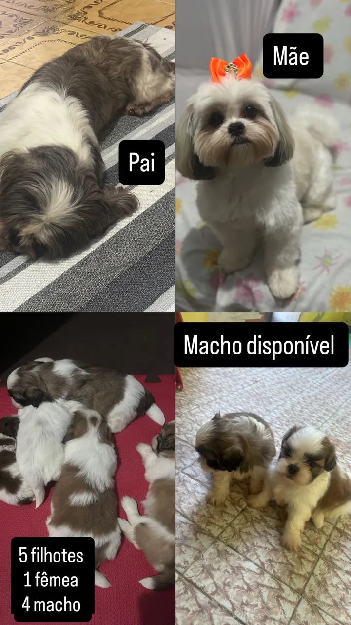 Vende se  - Foto 3