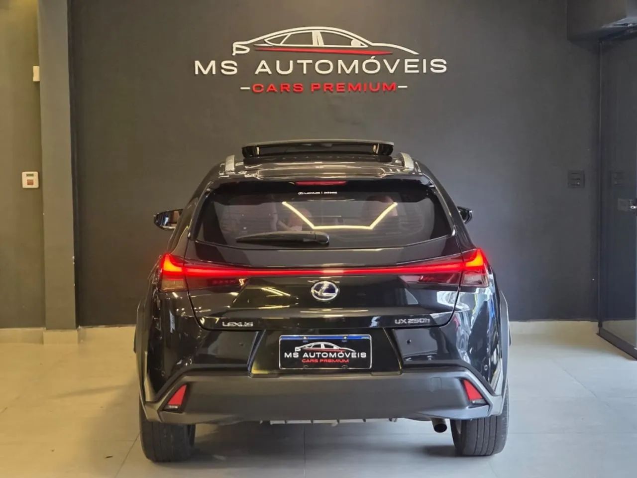 Lexus UX-250h Luxury 2.0 16V Aut.(hybrid), foto 13 de 20