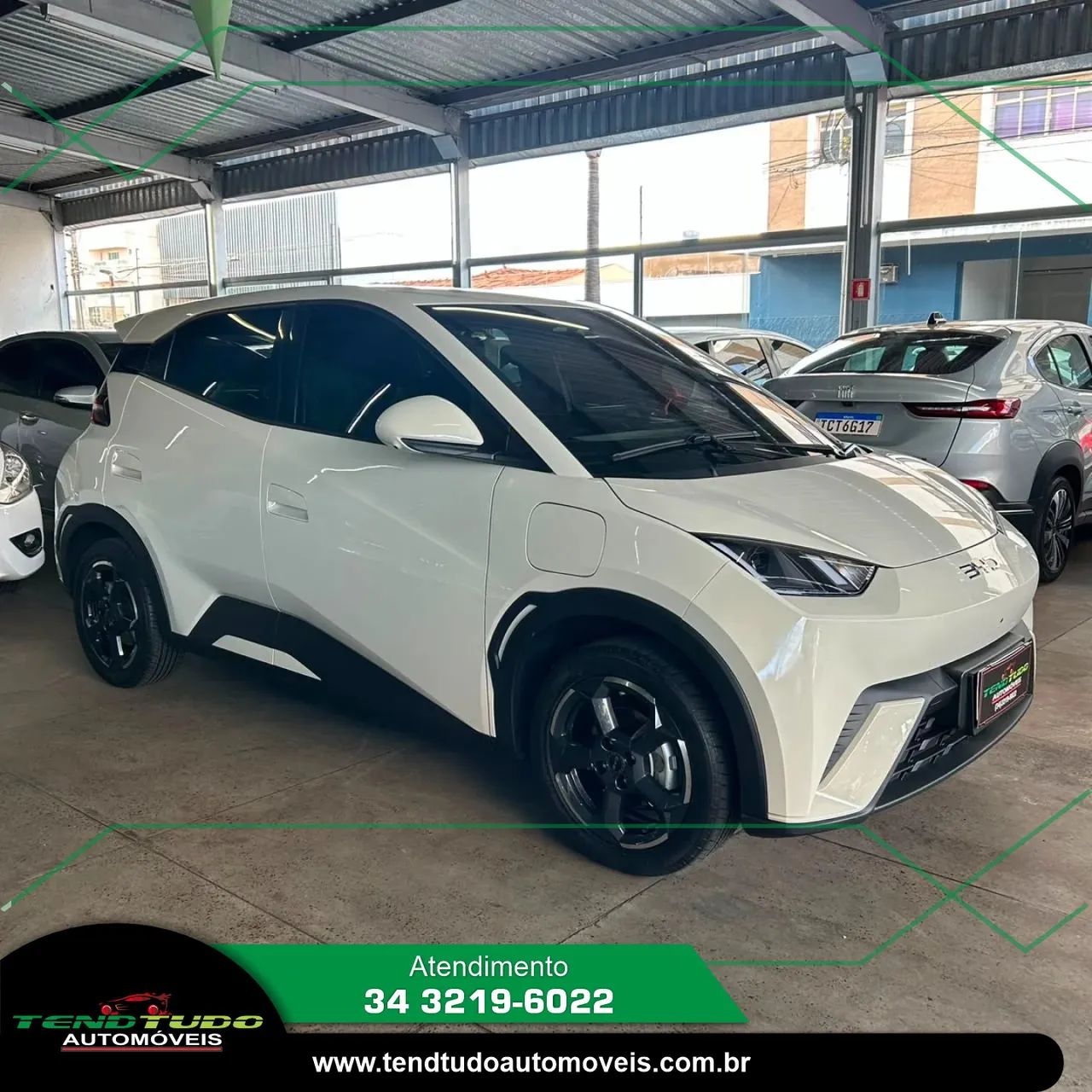 BYD Dolphin Mini (Elétrico) 2025 - Foto 2