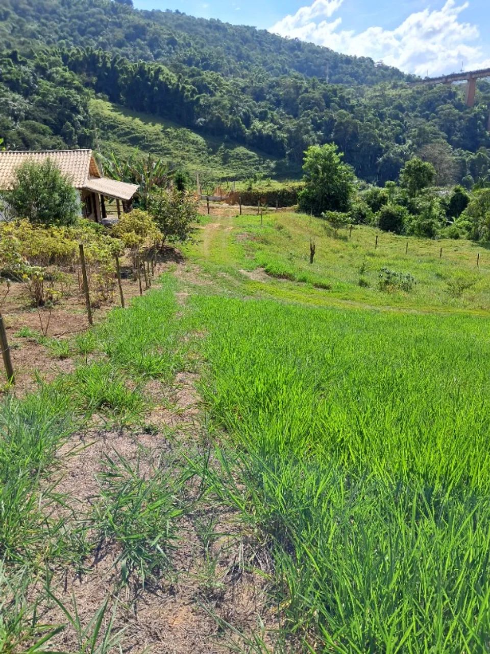 Terreno de 2000m2 - Foto 3