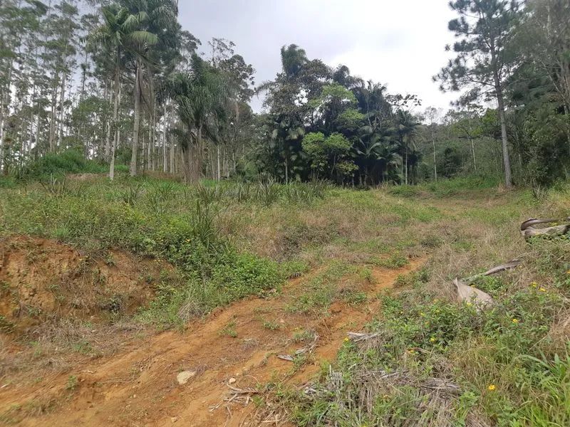 Terreno RIO DOS CEDROS - SC - Foto 2