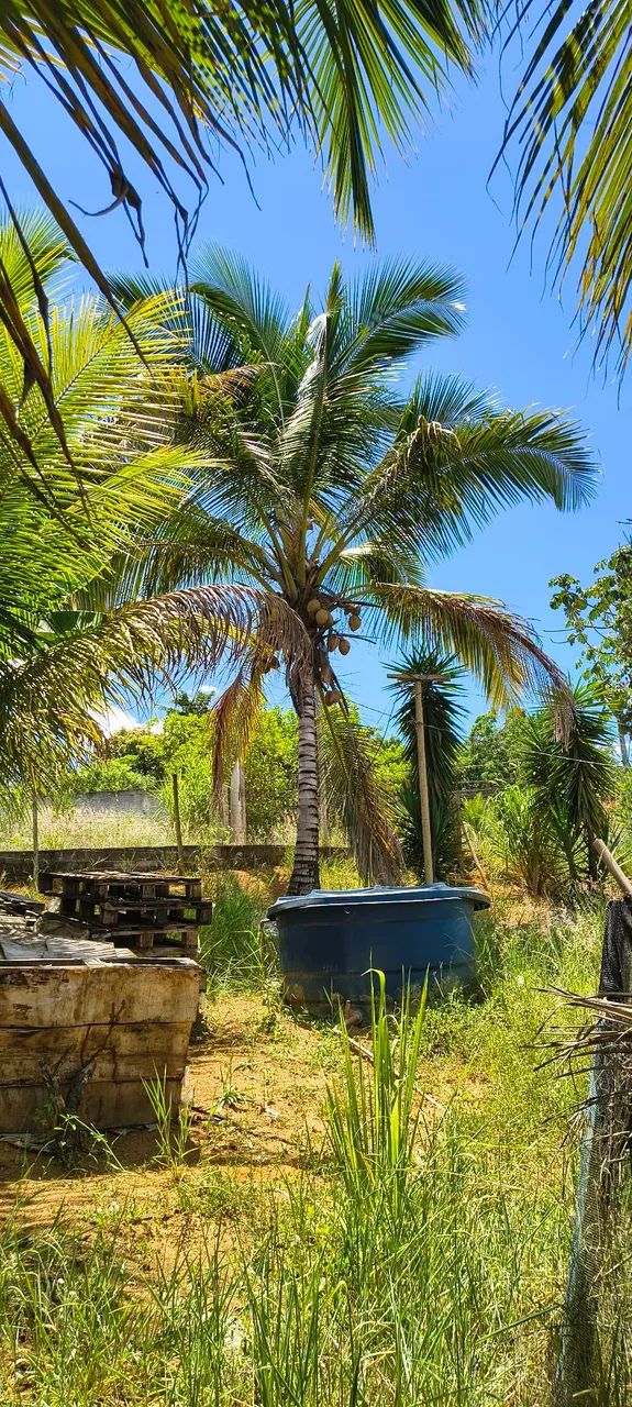 Foto - Serra - Cidade Nova da Serra