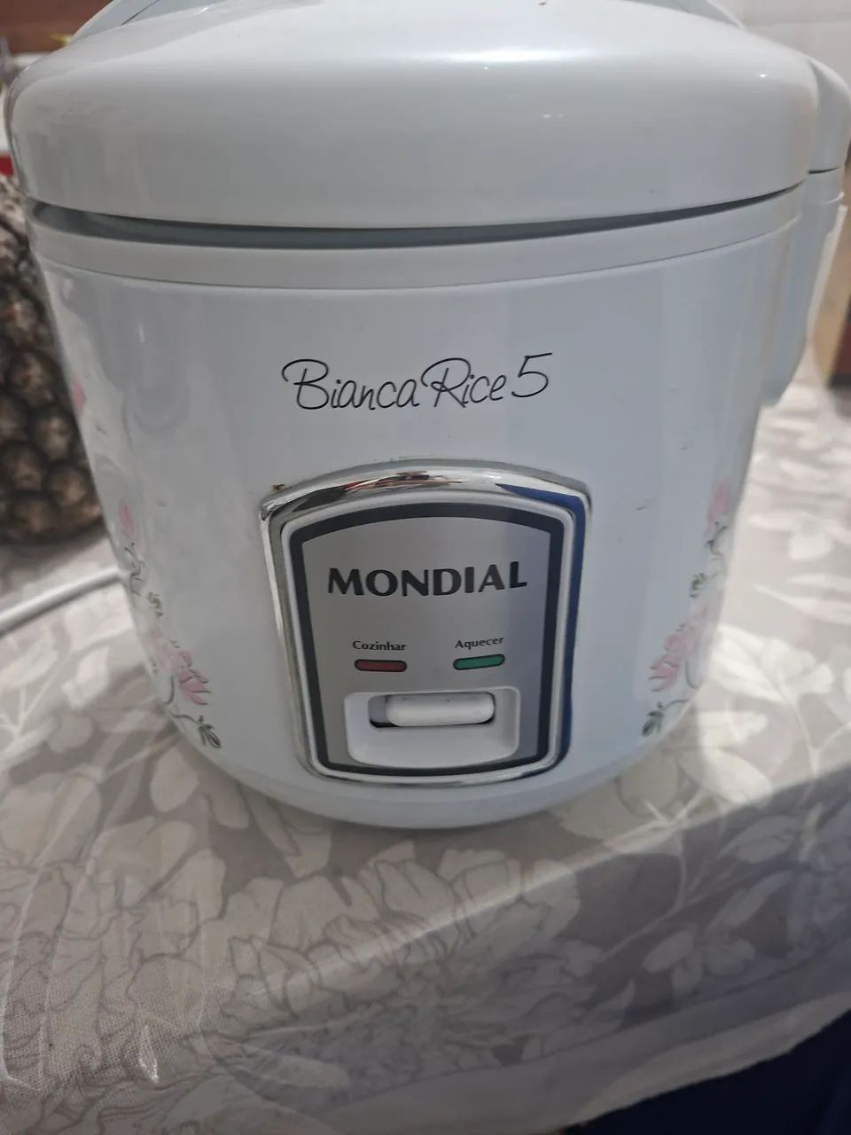 Panela eletrica 