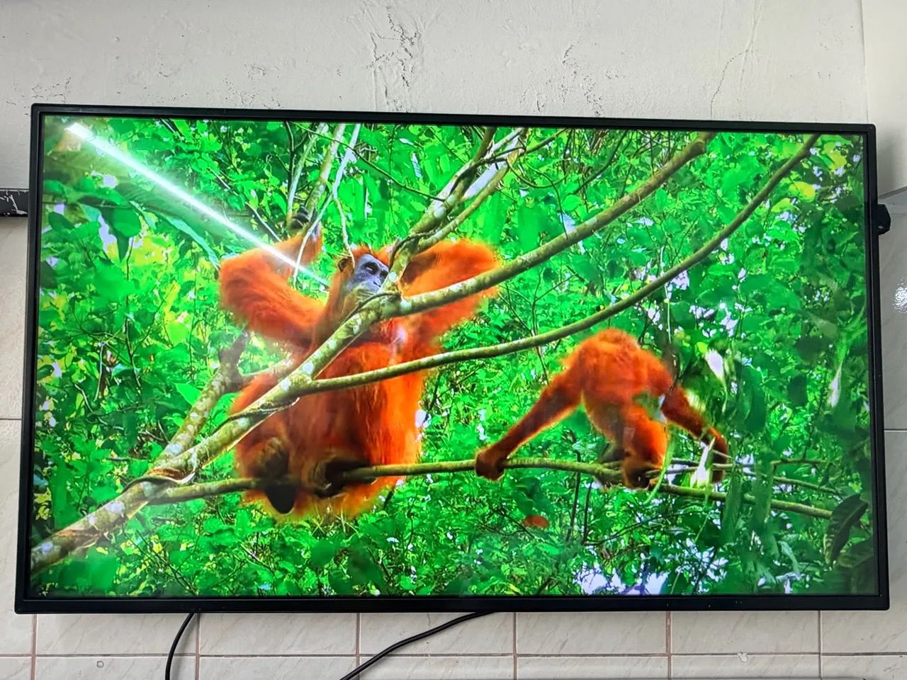 Monitor profissional LG ips full hd 49 polegadas  - Foto 3