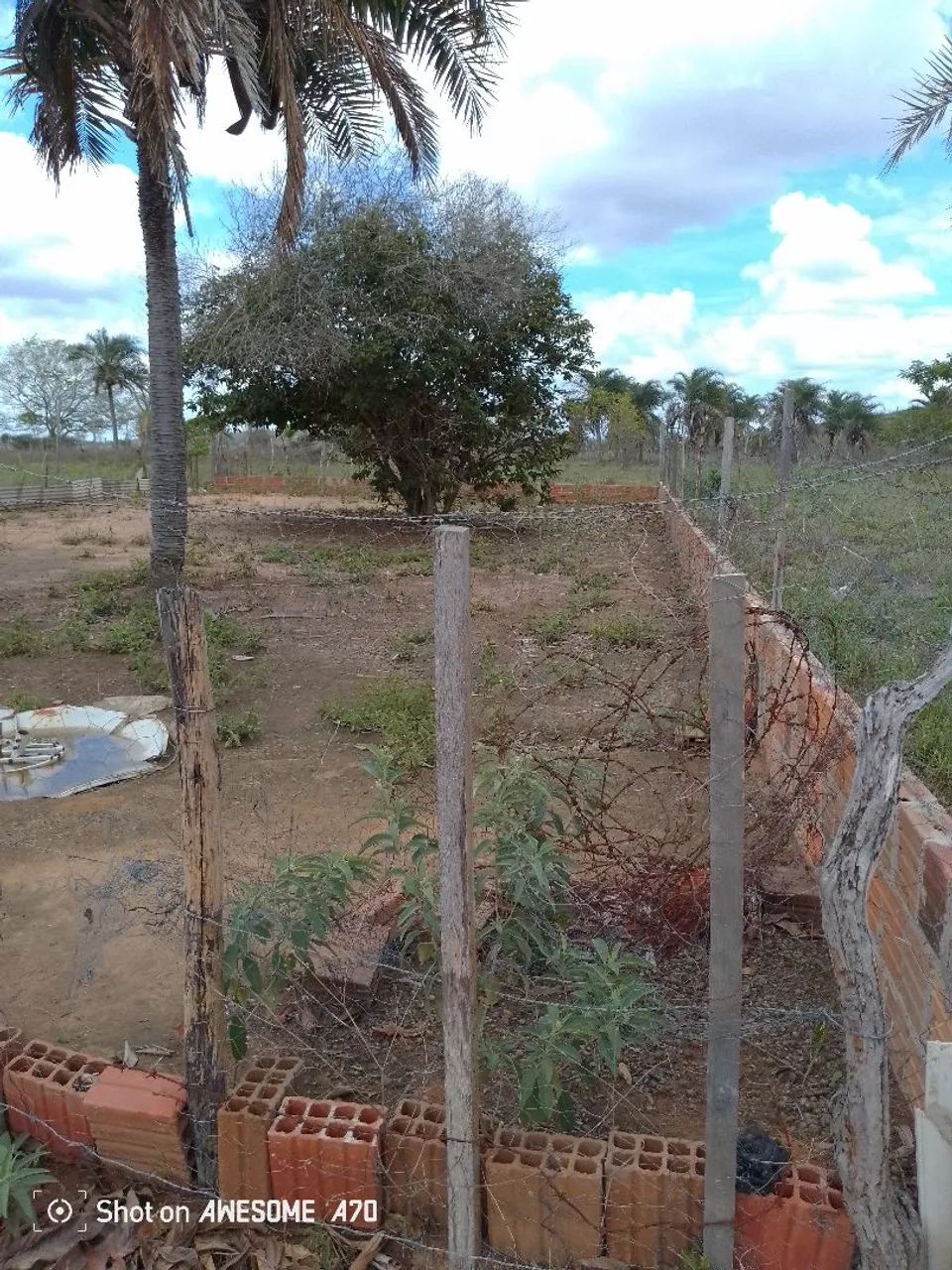 Sítio  - Foto 5