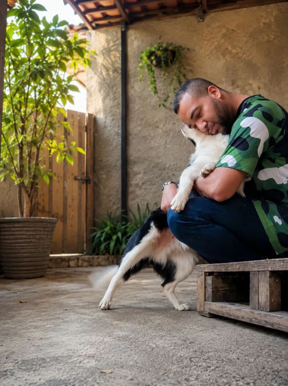 Adestramento canino  - Foto 2