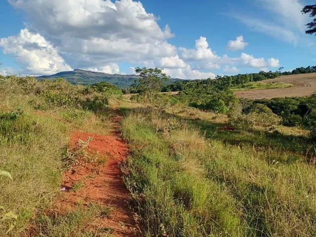 Sítio 10 Hectares com Cachoeira e Rio  - Foto 5