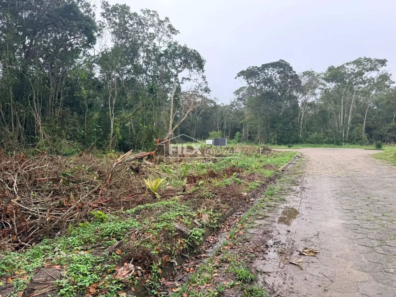 Lote/Terreno, Verde Mar - Itanhaém - Foto 3