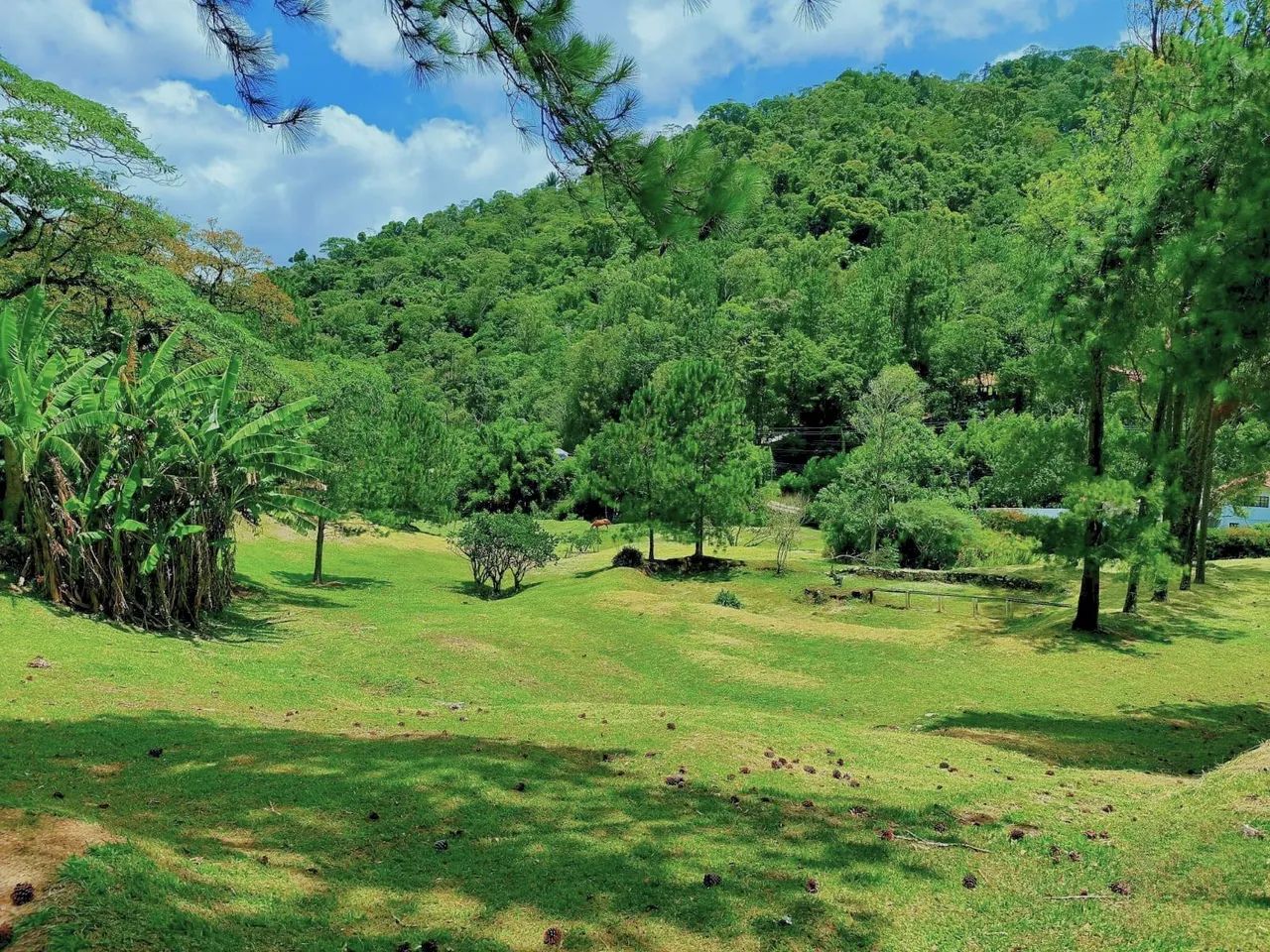 Sitio com localização privilegiada!! - Foto 4